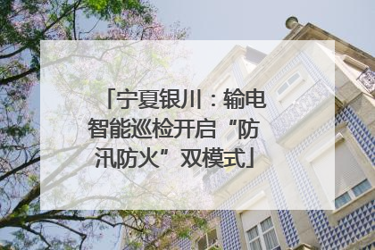 宁夏银川：输电智能巡检开启“防汛防火”双模式