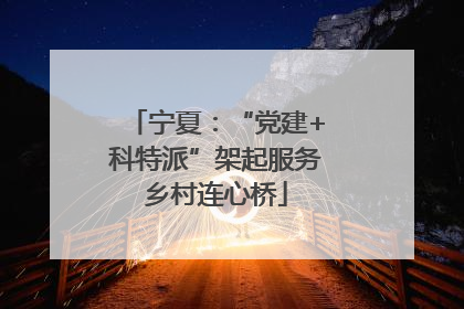 宁夏：“党建+科特派”架起服务乡村连心桥
