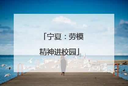 宁夏：劳模精神进校园