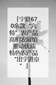 宁夏670余款“六特”农产品亮相农展馆 推动优质特色农产品“出宁进京”