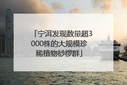 宁洱发现数量超3000株的大规模珍稀植物桫椤群