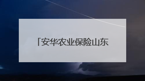 安华农业保险山东分公司科技赋能+双精准 筑牢粮食安全“稳定器”