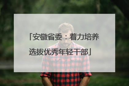 安徽省委：着力培养选拔优秀年轻干部