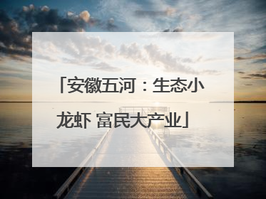 安徽五河：生态小龙虾 富民大产业