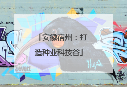 安徽宿州：打造种业科技谷