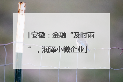 安徽：金融“及时雨”，润泽小微企业