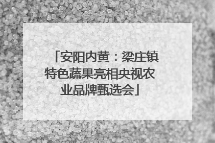 安阳内黄：梁庄镇特色蔬果亮相央视农业品牌甄选会
