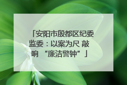 安阳市殷都区纪委监委：以案为尺 敲响 “廉洁警钟”