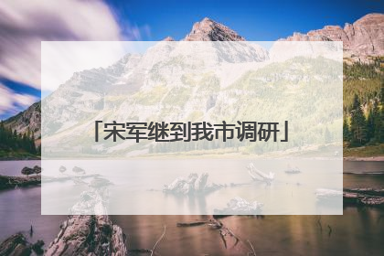 宋军继到我市调研