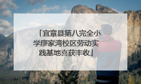 宜章县第八完全小学廖家湾校区劳动实践基地喜获丰收