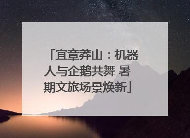 宜章莽山：机器人与企鹅共舞 暑期文旅场景焕新