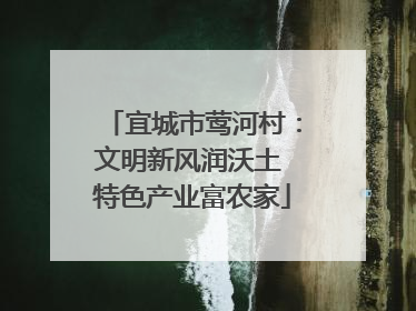 宜城市莺河村：文明新风润沃土 特色产业富农家
