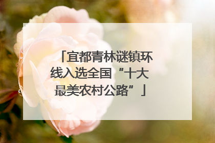 宜都青林谜镇环线入选全国“十大最美农村公路”