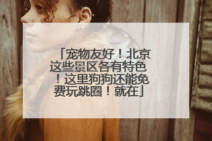 宠物友好！北京这些景区各有特色！这里狗狗还能免费玩跳圈！就在