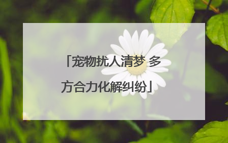 宠物扰人清梦 多方合力化解纠纷