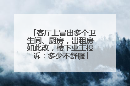 客厅上冒出多个卫生间、厨房，出租房如此改，楼下业主投诉：多少不舒服