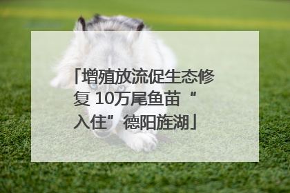 增殖放流促生态修复 10万尾鱼苗“入住”德阳旌湖