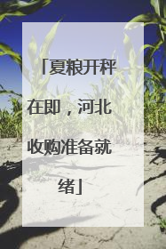 夏粮开秤在即，河北收购准备就绪
