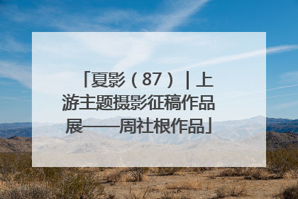 夏影（87）｜上游主题摄影征稿作品展——周社根作品