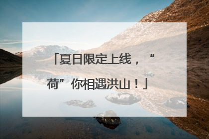 夏日限定上线，“荷”你相遇洪山！