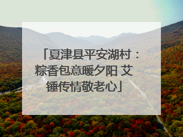 夏津县平安湖村：粽香包意暖夕阳 艾锤传情敬老心