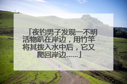 夜钓男子发现一不明活物趴在岸边，用竹竿将其拨入水中后，它又爬回岸边……