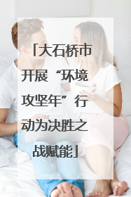 大石桥市开展“环境攻坚年”行动为决胜之战赋能