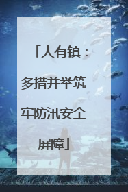 大有镇：多措并举筑牢防汛安全屏障