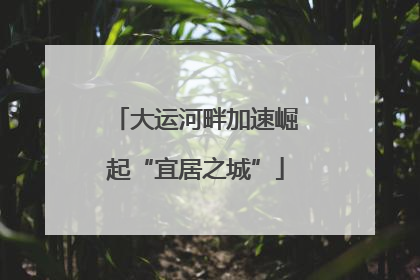 大运河畔加速崛起“宜居之城”
