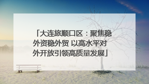 大连旅顺口区：聚焦稳外资稳外贸 以高水平对外开放引领高质量发展