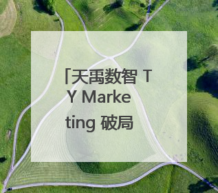 天禹数智 TY Marketing 破局营销新时代：智能体赋能与人才培育双轮驱动