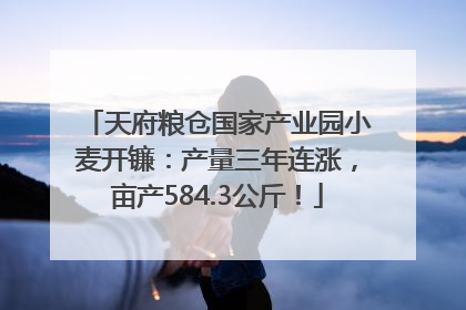 天府粮仓国家产业园小麦开镰：产量三年连涨，亩产584.3公斤！