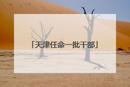 天津任命一批干部