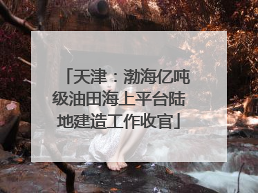 天津：渤海亿吨级油田海上平台陆地建造工作收官