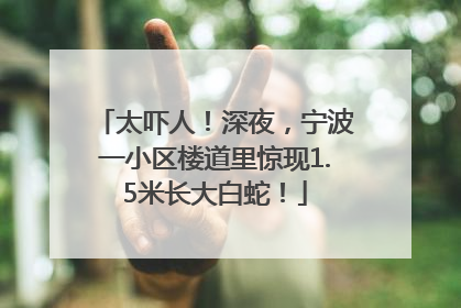 太吓人！深夜，宁波一小区楼道里惊现1.5米长大白蛇！