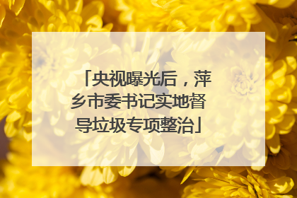 央视曝光后，萍乡市委书记实地督导垃圾专项整治