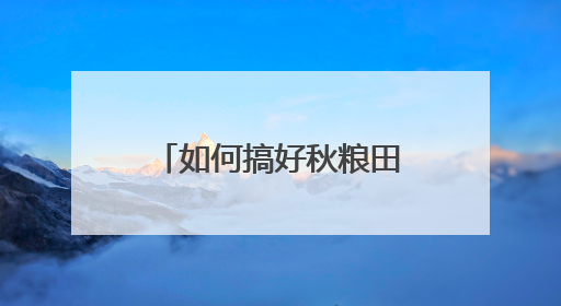 如何搞好秋粮田间管理？潍坊农业农村部门有实招
