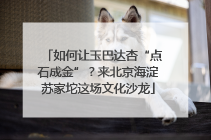 如何让玉巴达杏“点石成金”？来北京海淀苏家坨这场文化沙龙