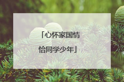 心怀家国情 恰同学少年