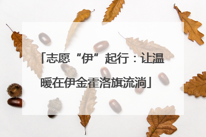 志愿“伊”起行：让温暖在伊金霍洛旗流淌