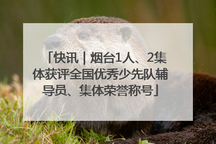 快讯｜烟台1人、2集体获评全国优秀少先队辅导员、集体荣誉称号