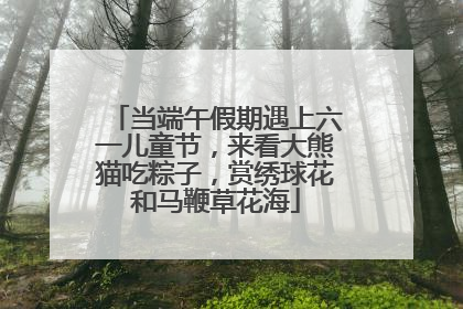 当端午假期遇上六一儿童节，来看大熊猫吃粽子，赏绣球花和马鞭草花海