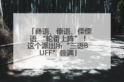 彝语、傣语、傈僳语 “轮番上阵”！这个派出所“三语BUFF”叠满