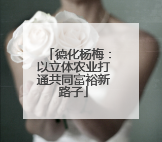 德化杨梅：以立体农业打通共同富裕新路子