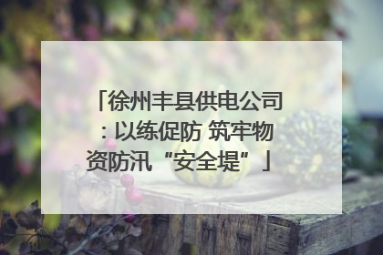 徐州丰县供电公司：以练促防 筑牢物资防汛“安全堤”