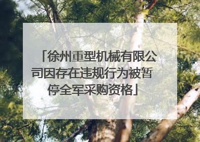 徐州重型机械有限公司因存在违规行为被暂停全军采购资格