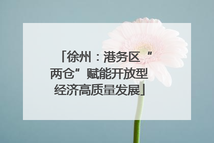 徐州：港务区“两仓”赋能开放型经济高质量发展