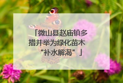 微山县赵庙镇多措并举为绿化苗木“补水解渴”