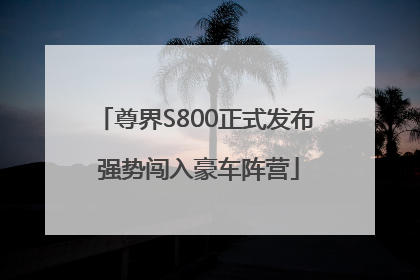 尊界S800正式发布 强势闯入豪车阵营