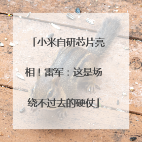 小米自研芯片亮相！雷军：这是场绕不过去的硬仗